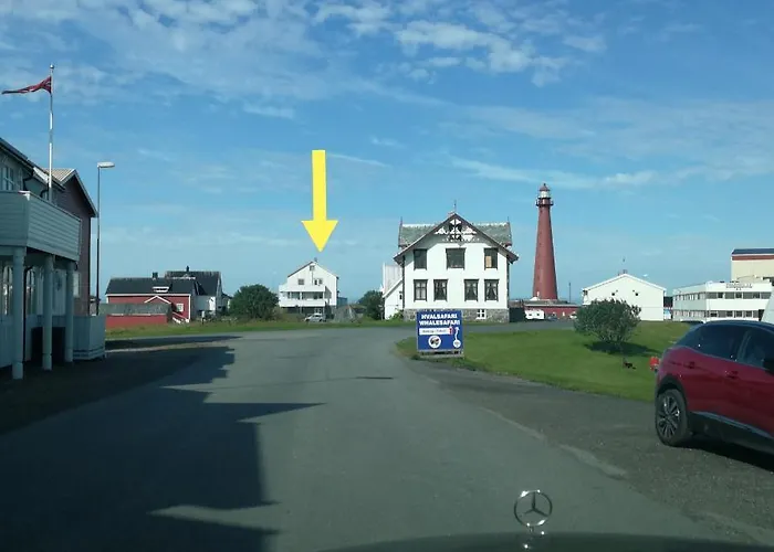 202 - Whale Safari * Andenes