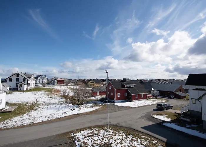 202 - Whale Safari Andenes