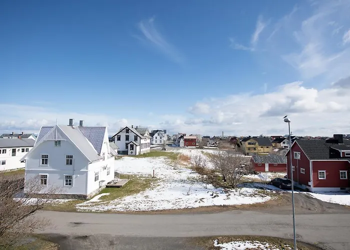 202 - Whale Safari *