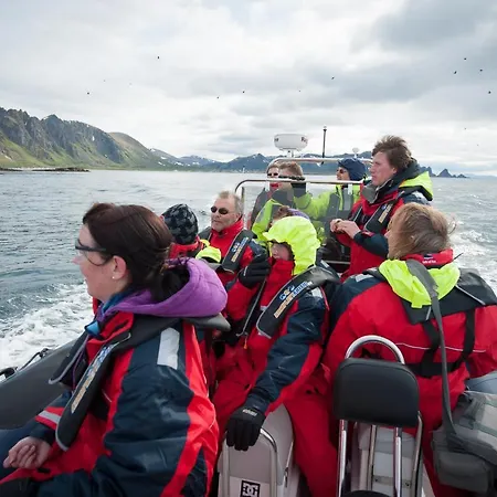 Leilighet 202 - Whale Safari