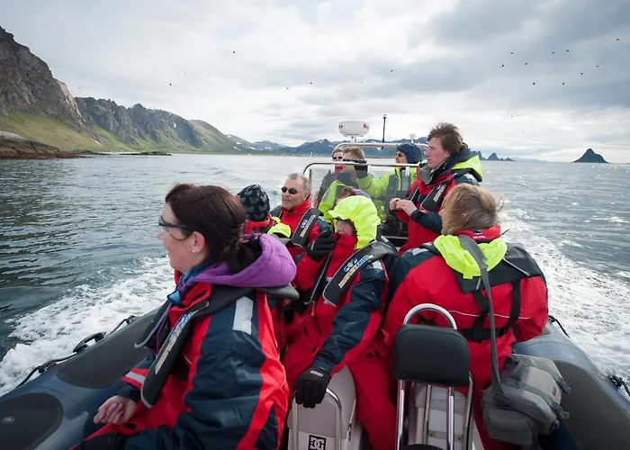 Leilighet 202 - Whale Safari